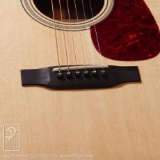Collings D-2H_11