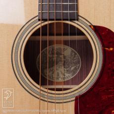 Collings D-2H_12