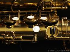 A. Selmer [アメセル] MARK VI アルトサックス Serial No:188XXX_10