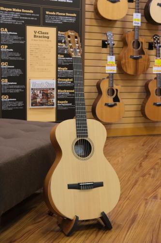 Taylor Academy 12 / Nylon