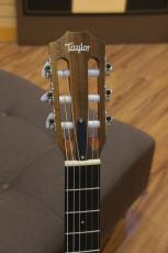 Taylor Academy 12 / Nylon_5