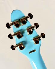 Brian May Guitars Brian May Special -Baby Blue-_8