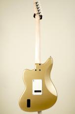 Truth TJM-201 -Champagne Gold- [3.72kg]_4