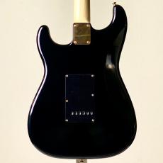 g7 Special g7-ST/R Player S Custom -Black Beauty-_3