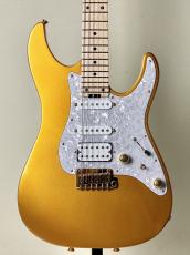 SCHECTER 【ショップ限定モデル!!】SD-KC-24-M/AL -Gold-