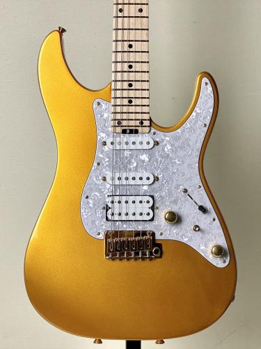 SCHECTER 【ショップ限定モデル!!】SD-KC-24-M/AL -Gold-