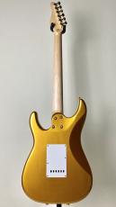 SCHECTER 【ショップ限定モデル!!】SD-KC-24-M/AL -Gold-_4