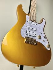 SCHECTER 【ショップ限定モデル!!】SD-KC-24-M/AL -Gold-_5