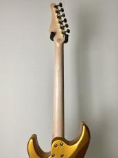 SCHECTER 【ショップ限定モデル!!】SD-KC-24-M/AL -Gold-_8