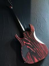 SCHECTER PA-SM-SIG-7【SiM SHOW-HATE New Signature Model 】_9