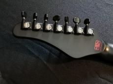 SCHECTER PA-SM-SIG-7【SiM SHOW-HATE New Signature Model 】_11