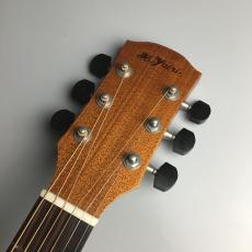 K.Yairi TF-WD110 CTM_4