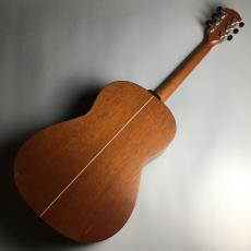 K.Yairi TF-WD110 CTM_5