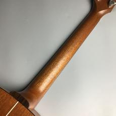 K.Yairi TF-WD110 CTM_7