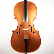 ImportStrings A.Spadoni/2024/Vc