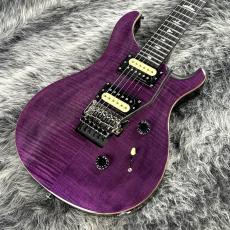 Paul Reed Smith [PRS] SE Floyd Custom 24 Amethyst