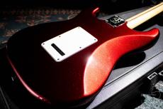Fender American Standard Stratocaster Upgrade / 2014_8