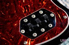 Fender Mexico  Classic Player Jaguar Special HH / 2013_5