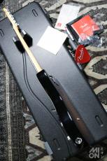 Fender American Professional II Telecaster RW 3-Color Sunburst 2022_9