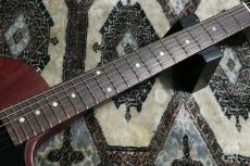 Gibson Les Paul Junior Faded SC Cherry 2009_4