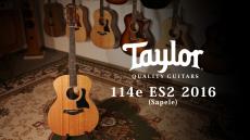 Taylor 【試奏動画有】114e ES2 2016 【Taylor公認 リペアマン在籍店】