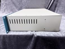Bogner Fish -All Tube Preamp-  w/RJM Mini Amp Gizmo_7