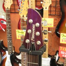 FERNANDES APG Standard_3