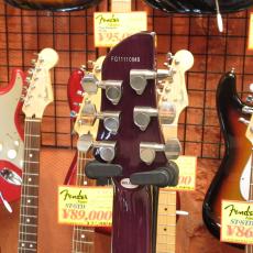 FERNANDES APG Standard_4