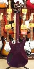 FERNANDES APG Standard_5