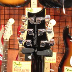 Paul Reed Smith [PRS] SE Custom Semi-Hollow Quilt_5