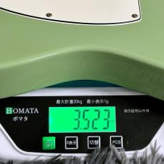 Fender Player II Telecaster, Rosewood Fingerboard, Birch Green 【特価】_11