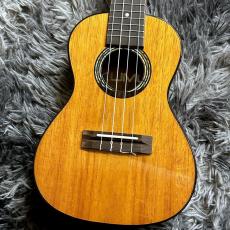 KUMU CG55A コンサート -High Gloss series- 【アウトレット特価】