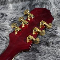 Epiphone Broadway Wine Red_8