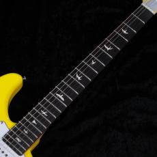 Paul Reed Smith [PRS] 【3.50kg】SE SILVER SKY ROSEWOOD -Dandy Lion- #CTI H034977【2025年製】【即納可能】_3