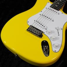 Paul Reed Smith [PRS] 【3.50kg】SE SILVER SKY ROSEWOOD -Dandy Lion- #CTI H034977【2025年製】【即納可能】_7