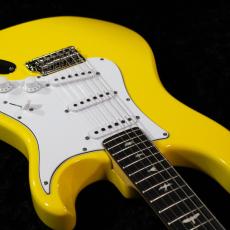 Paul Reed Smith [PRS] 【3.50kg】SE SILVER SKY ROSEWOOD -Dandy Lion- #CTI H034977【2025年製】【即納可能】_10