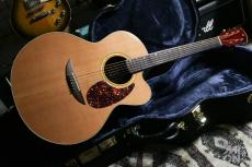 VERSOUL Buxom Minor 6 NT CUTAWAY Gold Label 2023 #0612_2