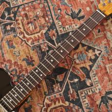 Fender Limited Edition American Cabronita Special, Rosewood Fingerboard, Black_5