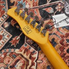 Sire Larry Carlton T7 FM New Gen TBL_6