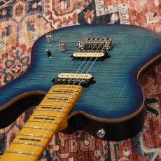 Sire Larry Carlton T7 FM New Gen TBL_10