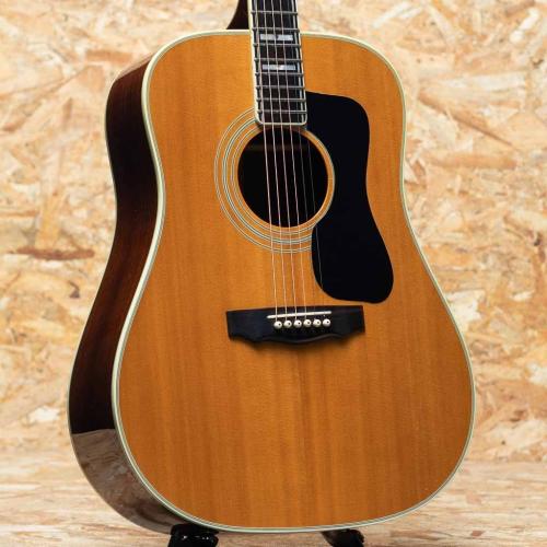 Guild D-55 NT 1984