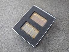 ThroBak SLE-101 MXV Set -Aged Gold-【ギブソンフロア取扱品】