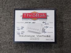 ThroBak SLE-101 MXV Set -Aged Gold-【ギブソンフロア取扱品】_2