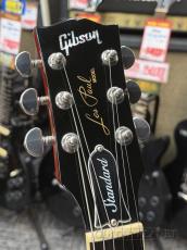 Gibson Les Paul Standard '60s -Iced Tea- 2022年製 【良指板!】【4.47kg】_5