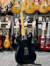 Psychederhythm Custom Order Moderncaster ST-Type ''Mod.'' -Mat. Black / Brazilian Rosewood- 2006年製_3