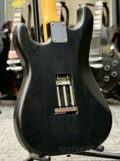 Psychederhythm Custom Order Moderncaster ST-Type ''Mod.'' -Mat. Black / Brazilian Rosewood- 2006年製_4