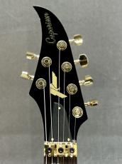 Caparison Horus-CS-LTD Special Limited Edition -Iris Violet- 2026年製【美品中古品】【限定モデル】_6