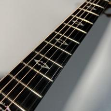 Taylor K24ce JPNLTD2016_6