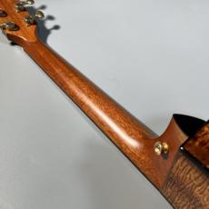 Taylor K24ce JPNLTD2016_9