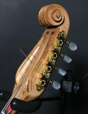 CALACE アンナマリア【マンドリン】【新品同様】_4